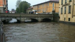 Monza, il Lambro gonfio per le piogge