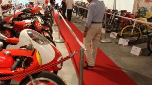 Amici dell’autodromo, nuovo ”no”Allevi: ”Roma? Risultato arriverà”