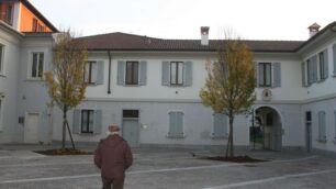 Seregno: nelle piazze rinnovate”spuntano” nuovi alberi