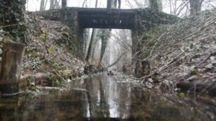 Carabiniere eroe salva un uomoFerito e in acqua per ore al Parco