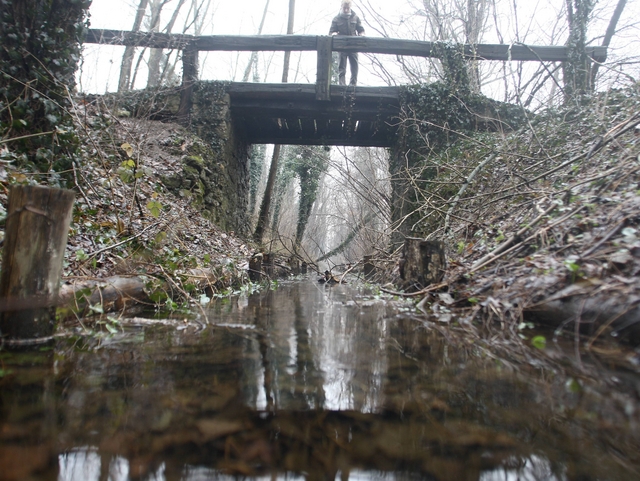 Carabiniere eroe salva un uomoFerito e in acqua per ore al Parco