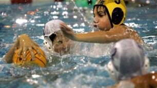 Acquagol al centro Pia GrandeLa pallanuoto diventa grande
