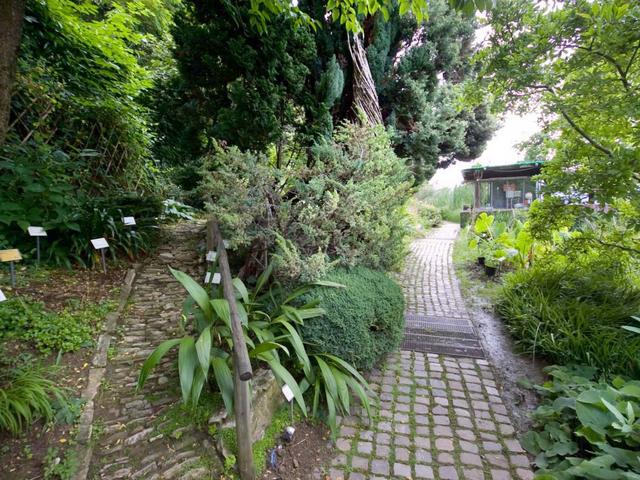 «Bellezze mortali!»all’Orto botanico