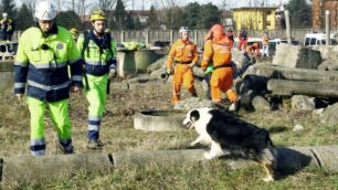 Protezione civile: in 350 a BovisioIn azione volontari e cani salvavita