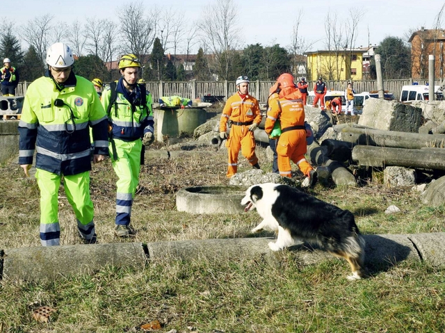 Protezione civile: in 350 a BovisioIn azione volontari e cani salvavita