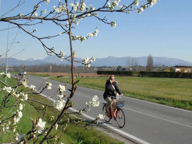 Allergie in agguato:un pollinometro web