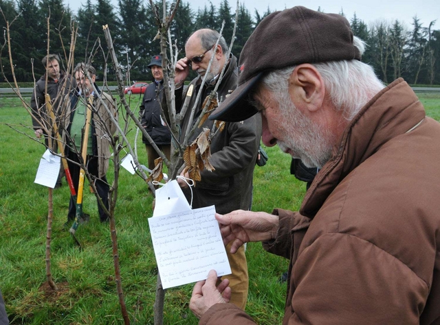 Arcore, alberi contro ”Milano 4”La protesta dei Verdi sul progetto