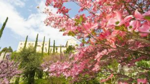 Giardini di SissiProfumi di storia