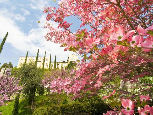 Giardini di SissiProfumi di storia