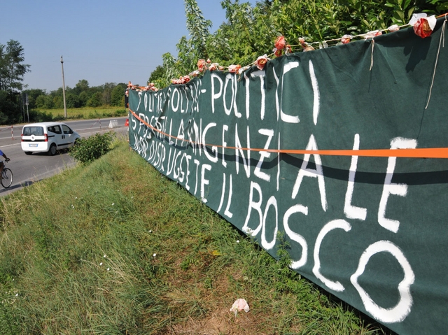 Arcore, il Bruno e PedemontanaL’assessore: «Il bosco è salvo»