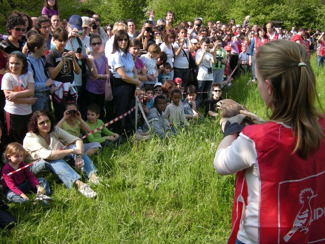 Cesano, festa di Liberazioneanche per l’airone cinerino