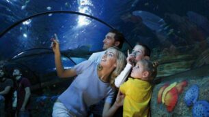 Gardaland Sea Life:festa di compleanno