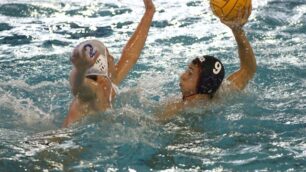 La Pallanuoto Nc Monza sogna
Under 17 alle finali nazionali