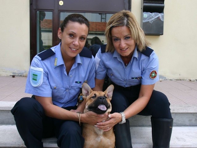 Cesano, storia a lieto fine di Tea:da cucciolo abbandonato a tenente