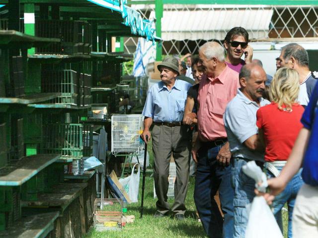 Canti e gorgheggi ad AlmennoSuccesso per la Sagra degli uccelli