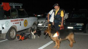 Campionato mondialedei cani da soccorso