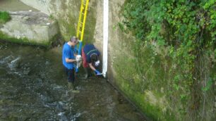 Seveso, fiume malato di degradoIl maltempo porta solo rifiuti