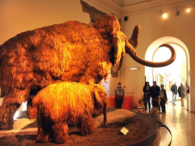 Musei aperti tutti i giorni
