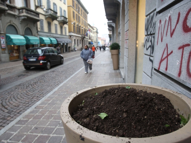 Vandalismi in centro a MonzaRovesciate di notte venti fioriere