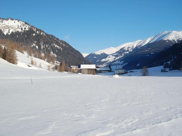 Dall’Italia all’Austria con gli sci da fondoV. Venosta tutte le piste a un solo prezzo