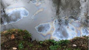 Bertolaso: «Fermato il petrolio»Funzionano gli sbarramenti sul Po