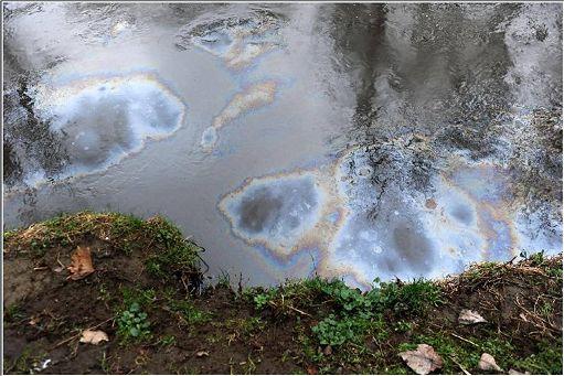 Bertolaso: «Fermato il petrolio»Funzionano gli sbarramenti sul Po