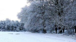 Settimana da brividi in BrianzaVenti dalla Siberia, gelo e neve