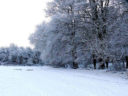 Settimana da brividi in BrianzaVenti dalla Siberia, gelo e neve