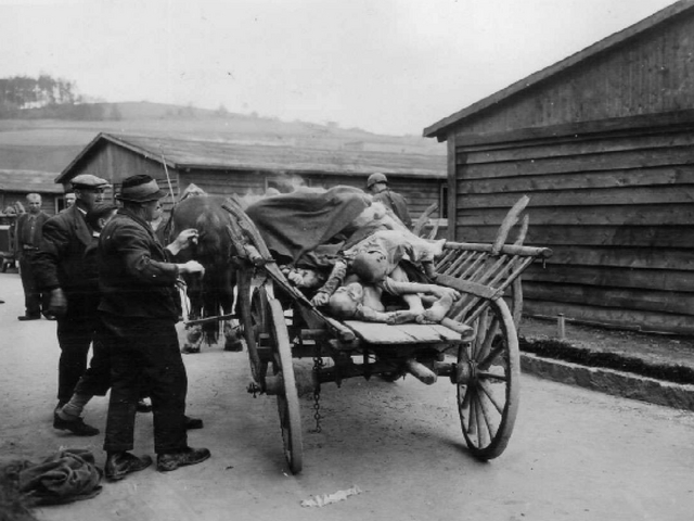 Monza e il Giorno della memoriaTutte le iniziative per ricordare