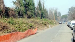 Legambiente, un parco a SevesoIntanto si tagliano decine di alberi