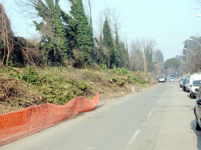 Legambiente, un parco a SevesoIntanto si tagliano decine di alberi