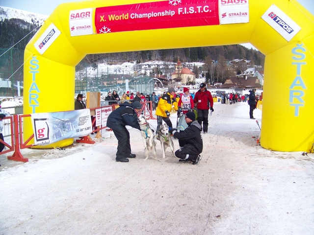 Mondiali di sleddog in Slovacchia
Nono posto per la Beltrame