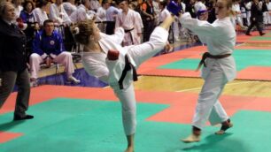 Arti marziali, Grand Prix a Desio:oltre 1.500 specialisti sul tatami