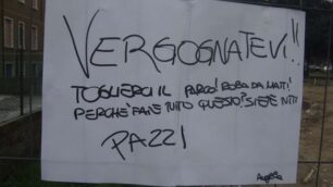 Senago, Comune taglia alberi:protesta dei bimbi delle scuole