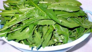 Cazzano, si cena con la cicoria