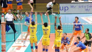 Volley, tutta la stagione in gara-5:Monza e Casa Modena in campo