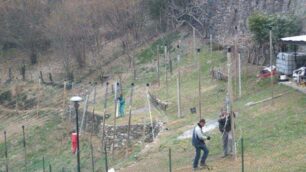 Frutticoltori, a Moio  cresce il campo scuola