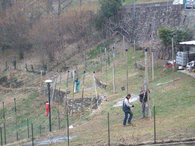 Frutticoltori, a Moio  cresce il campo scuola