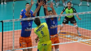 COPIA DI Volley, Dragan Travica a MacerataLa Lube ha ufficializzato l’ingaggio