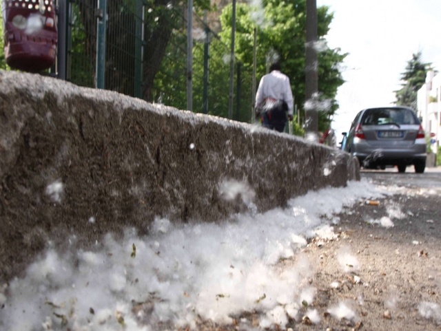 Smog e pm10aggravano le allergie