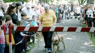 Limbiate, occhi per chi non vedeCentro Lions: festa coi cani guida