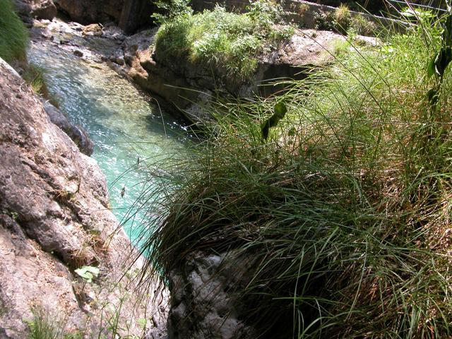 Le passeggiate proposte dal CaiVal Vertova, angolo suggestivo
