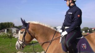 Cornate d’Adda, vigili a cavallosul corso dell’Adda e nei parchi