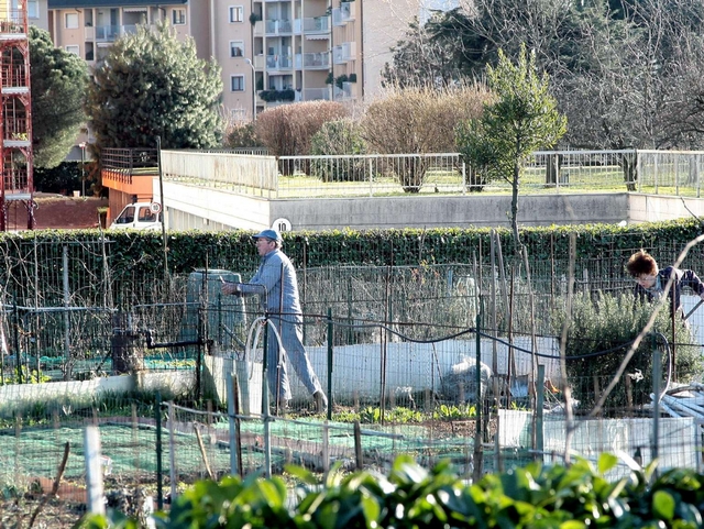 Muggiò: Cubo di via Gandhi,abbattuti otto orti comunali?