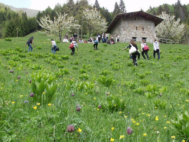 «Gusti di Scalve»l’11 a Schilpario