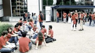 Dimezzare la superficie di venditaper salvare il Centro giardinaggio