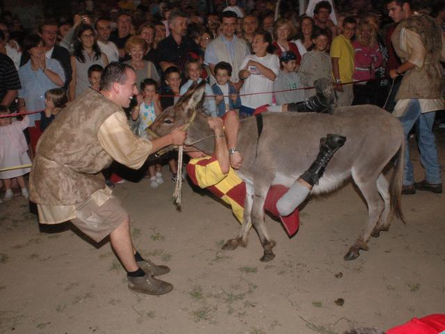 Palio degli asinia Songavazzo