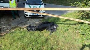 Giussano, cane sgozzato e poibruciato gettato via in un sacco
