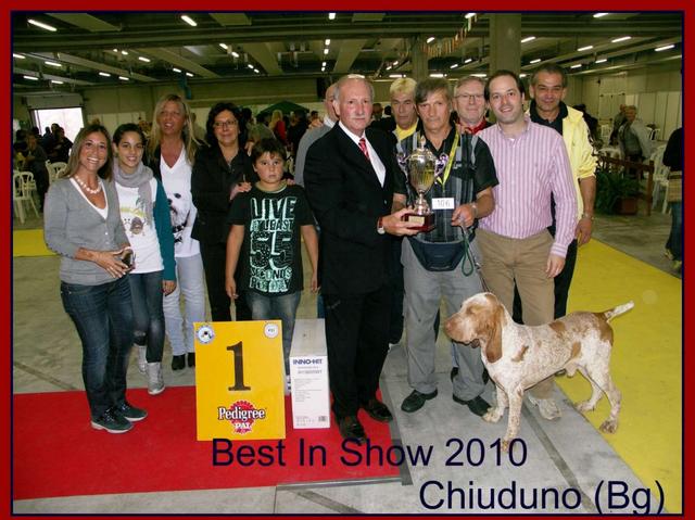 Dog showa Chiuduno