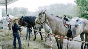 Limbiate, niente fiera animaliPalio, più vincoli che a Siena